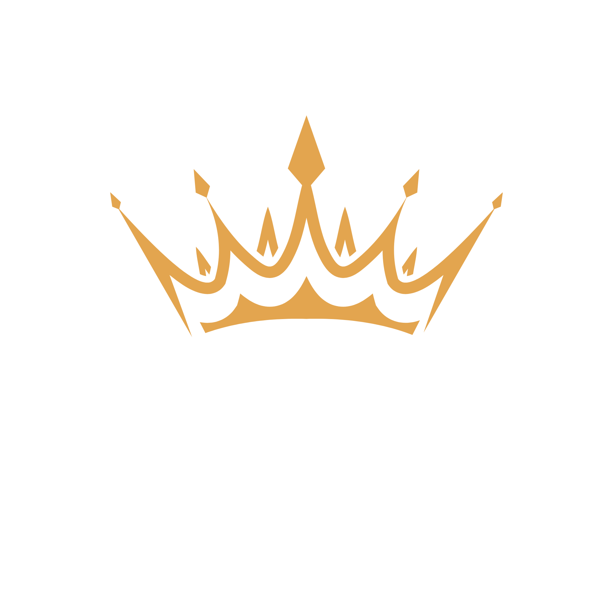Vincit Media